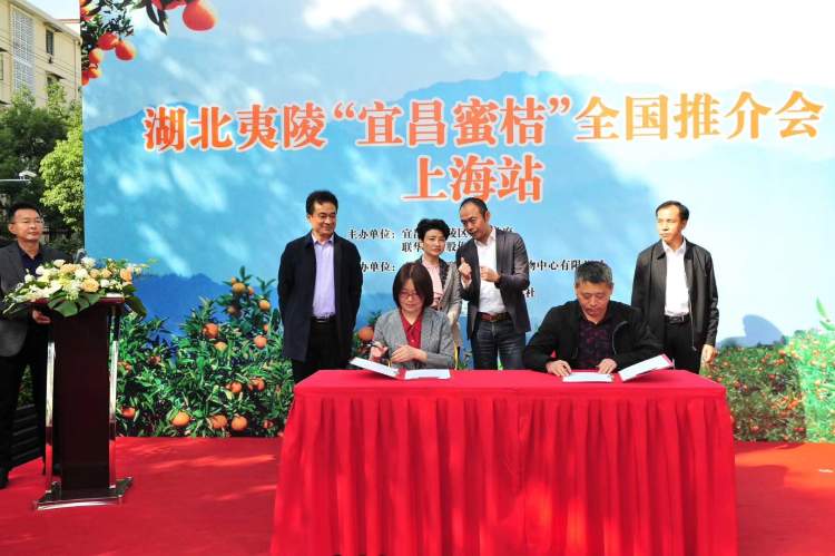 湖北名果之一“宜昌蜜桔”香飘申城