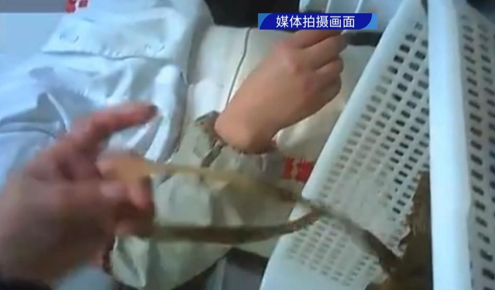 老鼠、蟑螂、虫子……知名火锅店“翻车”！记者走访广州门店→