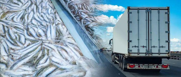 生鲜的运转核心——“冷链”